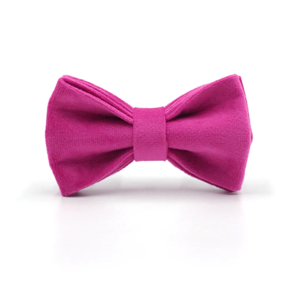 Fuchsia Velvet Personalized Dog Collar for Small Dogs Light Weight Cute Dog Harness with Bow Flower Custom Puppy Traction Set