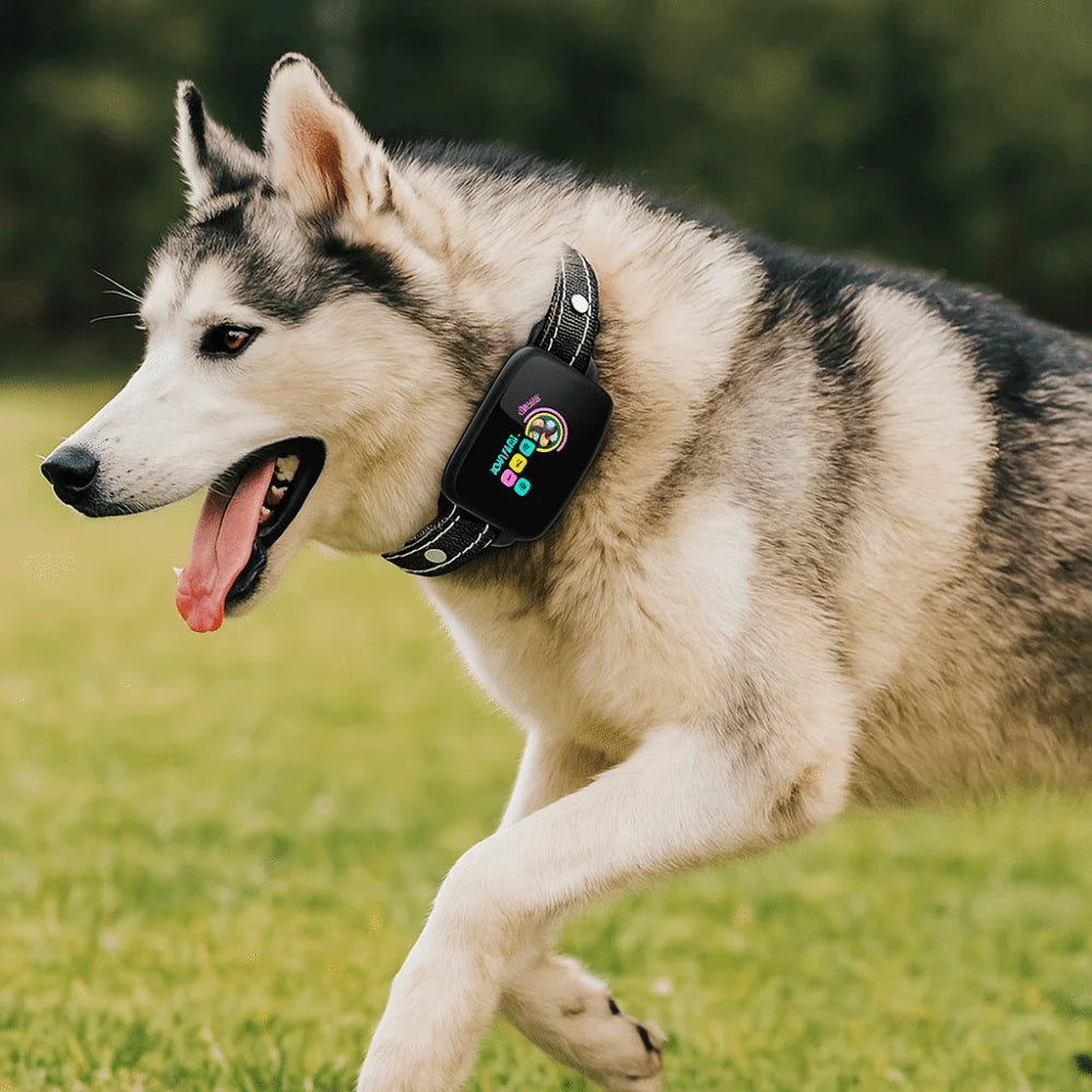 Intelligent Dog Barking Collar Color Screen Shock Functions Anti Bark Dog Collar Type-C Rechargeable with Sound Vibration