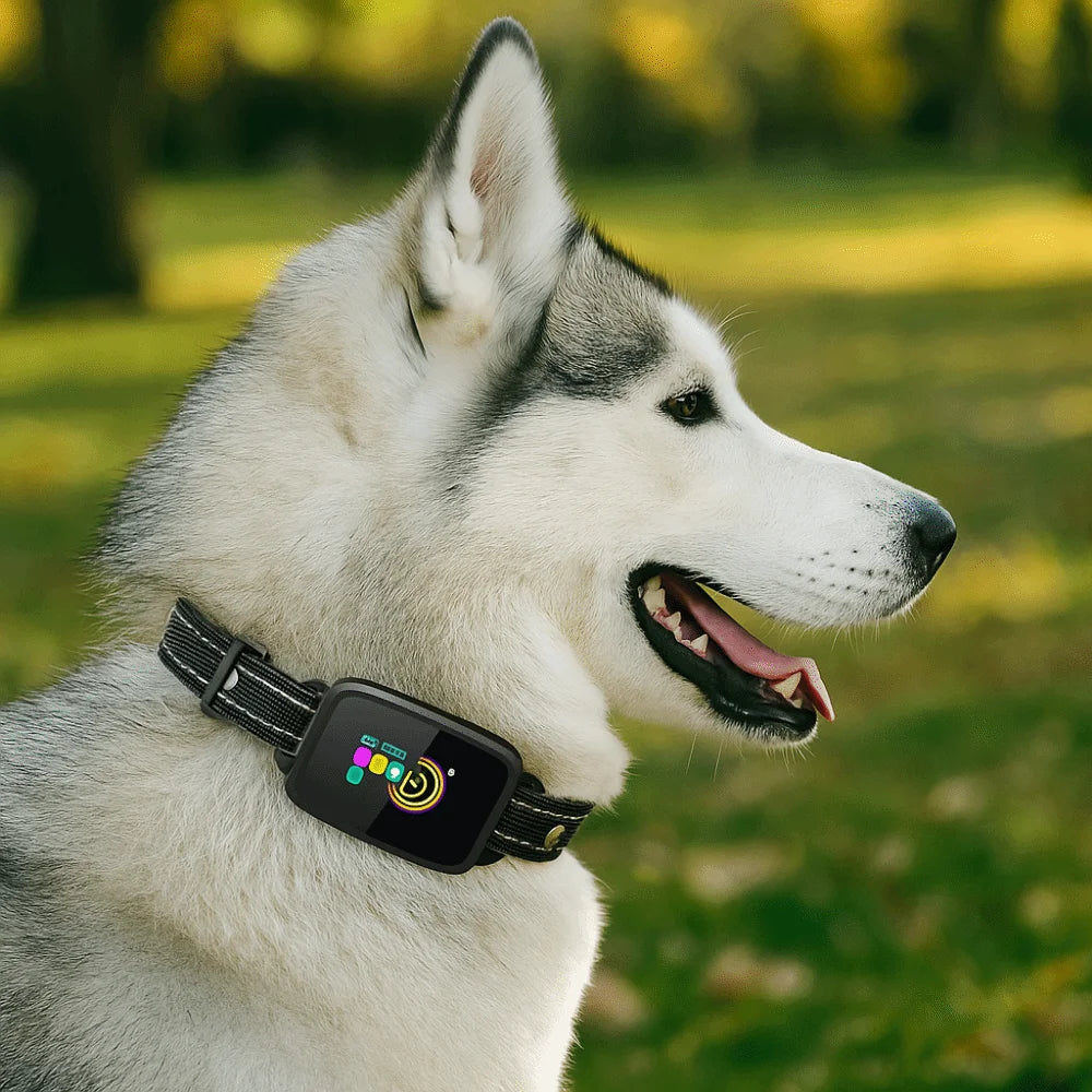 Intelligent Dog Barking Collar Color Screen Shock Functions Anti Bark Dog Collar Type-C Rechargeable with Sound Vibration